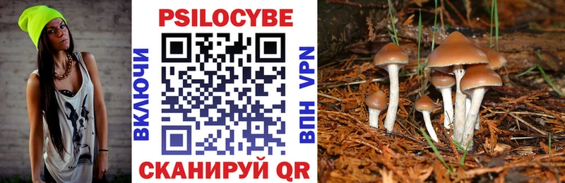 Псилоцибиновые грибы мицелий  закладка  Володарск 