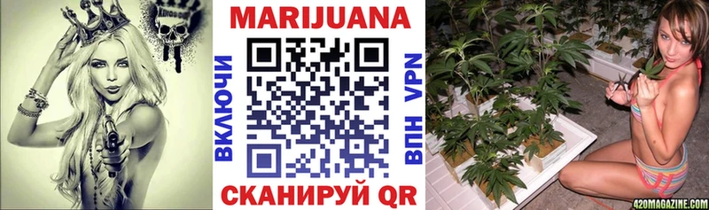 блэк спрут вход  Володарск  Бошки Шишки планчик 